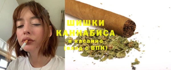 спиды Бородино