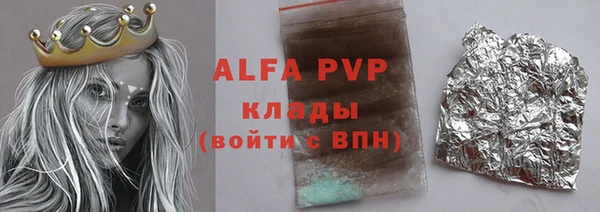 спиды Бородино