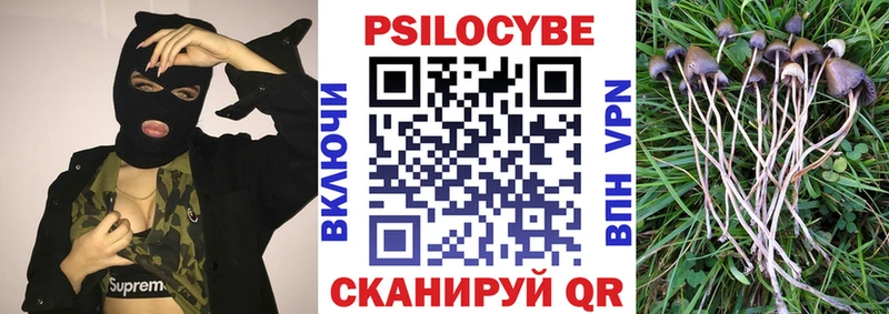 сколько стоит  Калуга  Псилоцибиновые грибы прущие грибы 